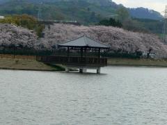 堀江新池の風景
