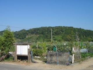 市民農園の風景写真1