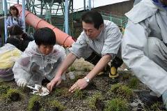 写真：園庭に芝生の苗を植える松山市長