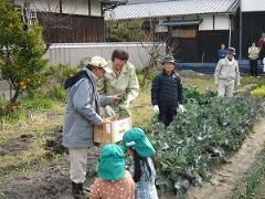 写真：収穫祭で野菜を収穫する松山市長