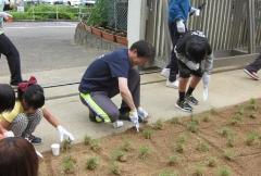 芝生化産業の様子