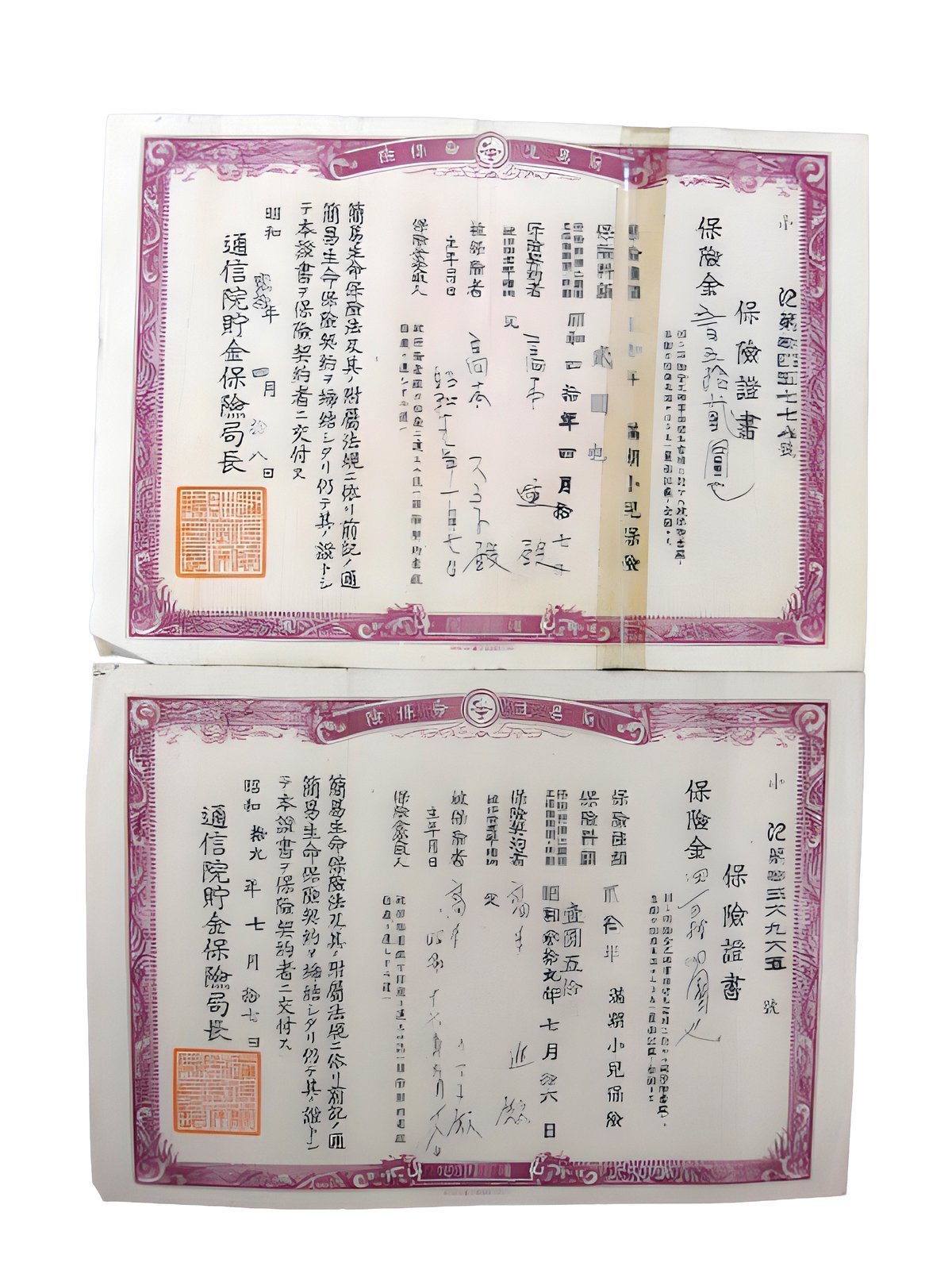 保険證書（ほけんしょうしょ）