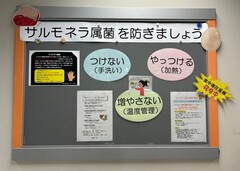 サルモネラ食中毒予防啓発