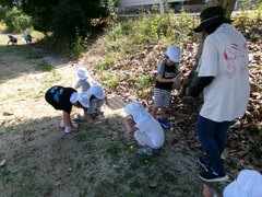 公園でどんぐり拾いを楽しむ子どもたち