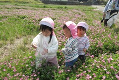 れんげ畑で花を摘む子どもたちの写真