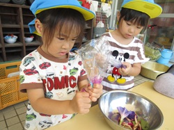 朝顔で色水を作っている子どもたちの様子