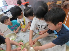 えんどう豆の豆をとりだす子どもたちの様子