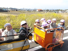 散歩を楽しんでいる子どもたちの様子