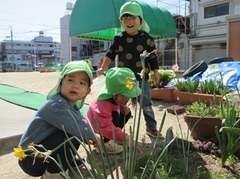 園庭で友だちと虫を探している写真