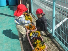 子どもが花を見ている写真