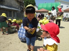 年長児が小さいクラスにじゃがいもを見せている写真