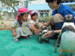 ペンギンに触れる子どもたちの写真