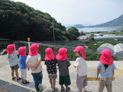 高戸山から景色を眺める子どもたちの写真