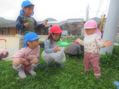 捕まえたテントウムシやダンゴムシを見せてあげているところ