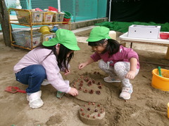 4歳児が松ぼっくりで遊んでいる写真