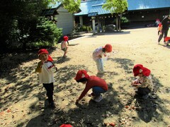 3歳児がどんぐりを拾っている写真