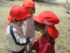 3歳児が手のひらにのせたダンゴムシを覗いている写真