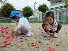 花びらを集める子どもの写真