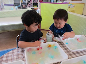 寒天で感触遊びをする子どもの写真