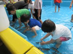 あまごのつかみ取りを楽しんでいる子どもの写真