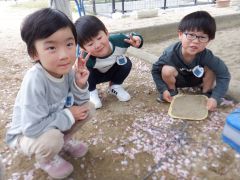 桜の花びらで遊んでいる子どもの写真