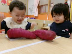 さつまいもに触れる子どもたちの写真
