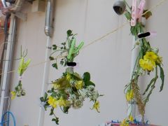 子どもたちが摘んできた花の写真