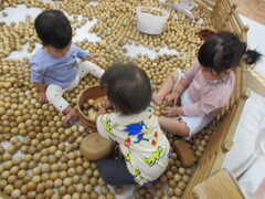 木の玉プールで遊んでいる写真