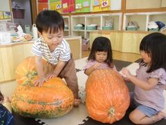 大きなかぼちゃを触って楽しんでいる子どもたち