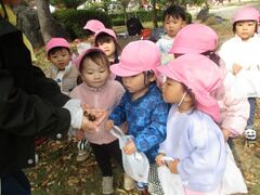 公園でどんぐり拾いをする子どもたち