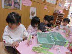 ３歳児がひし餅積みゲームを楽しんでいる写真