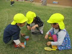 友だちとてんとう虫を見つけて虫かごに入れている写真