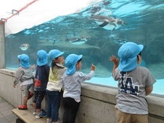 子どもたちがペンギンを見ている写真