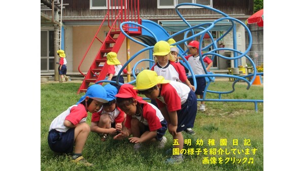 五明幼稚園日記