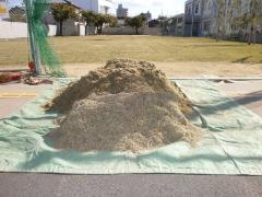 写真：除去したサッチ