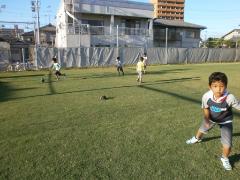 写真：今日も放課後は芝生広場でボール蹴り遊び
