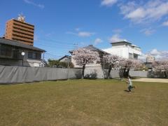 写真：子供がグラウンドで遊ぶ様子