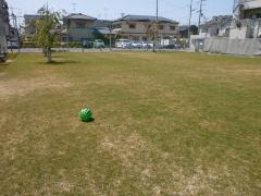 写真：グラウンドに横たわるスイカのボール