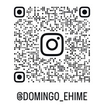 ドミンゴインスタ