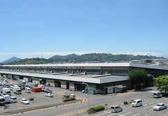 松山市中央卸売市場