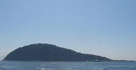 釣島(遠景)