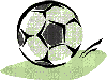 サッカーボールの画像